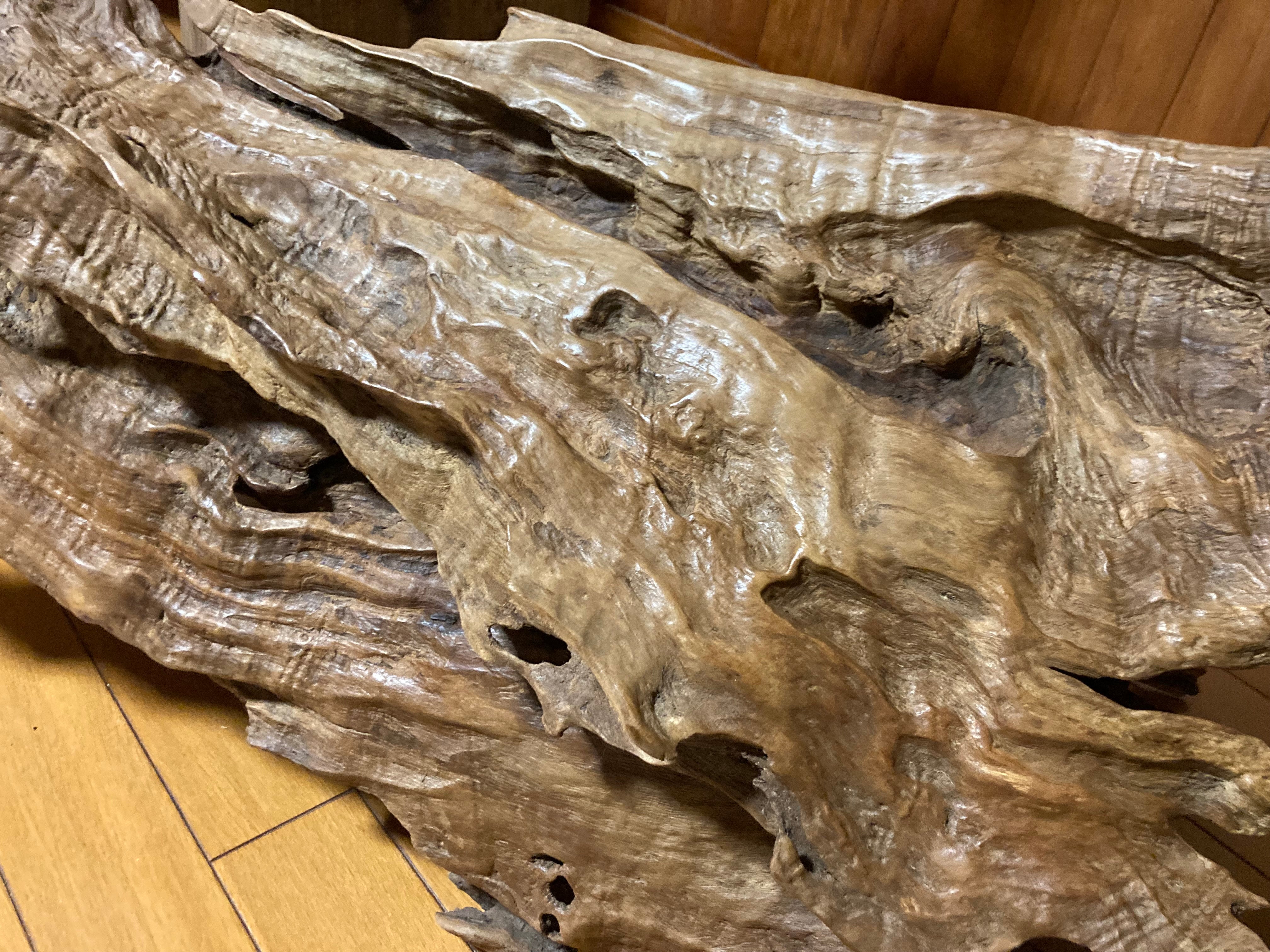 天然木の根株（竜の頭） | pintuanの店